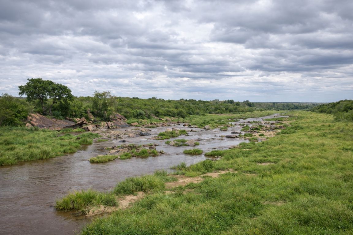 The Talek River running shallow over rocks through green grassland in the Maasai Mara
