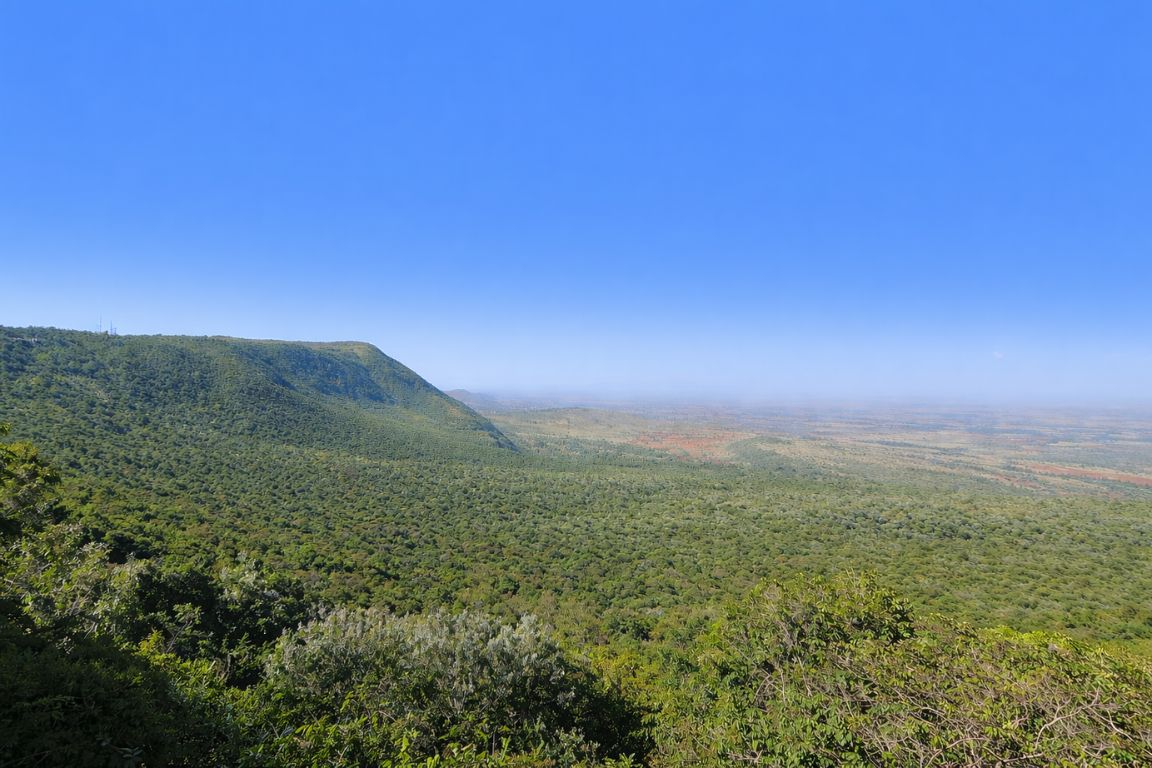 A hazy view over the Great Rift Valley escarpment from a high forested viewpoint