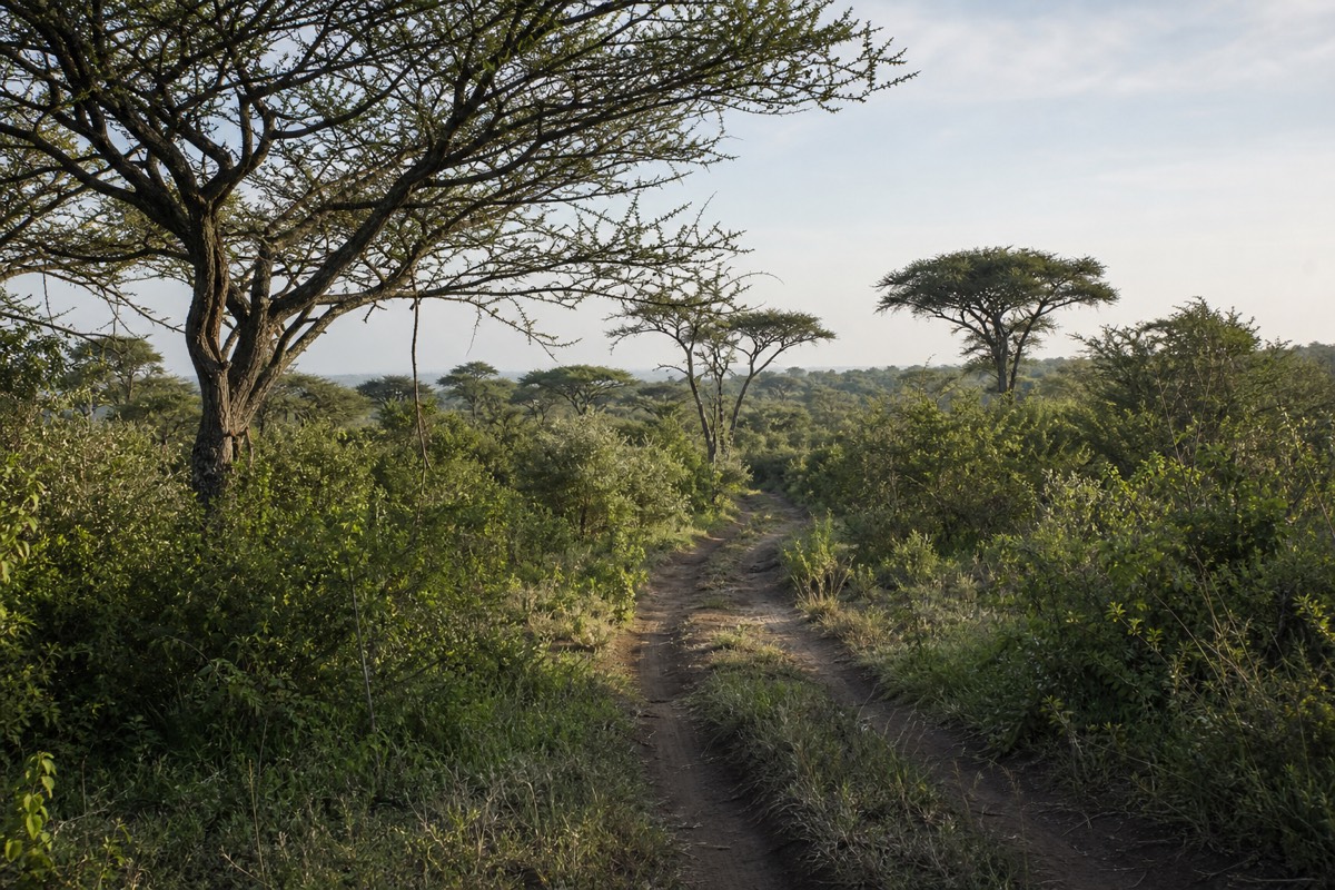 An off-road track through a private conservancy