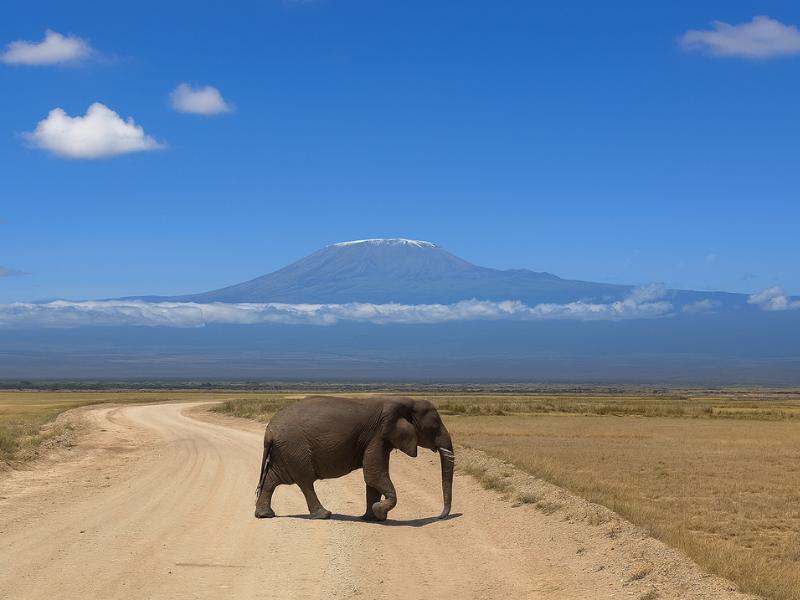 7-Day Kenya Safari: Maasai Mara, Nakuru, Naivasha & Amboseli