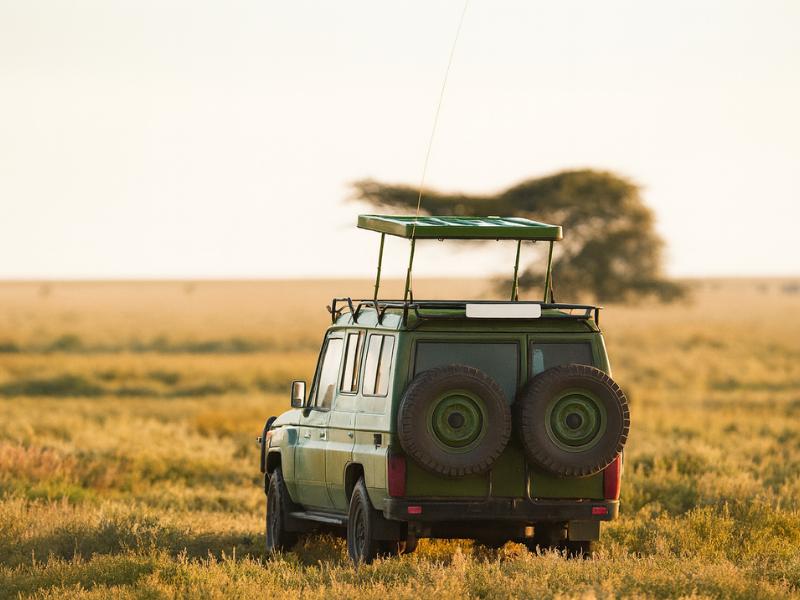 Maasai Mara: 3-Day Joining Safari at Sopa Luxury Lodge