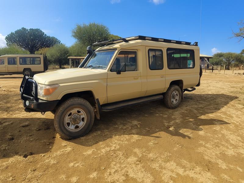 Maasai Mara Day Trip from Nairobi/Naivasha/Nakuru