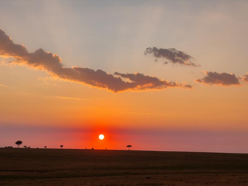 Maasai Mara, Nakuru & Naivasha: 5-Day Small-Group Tour