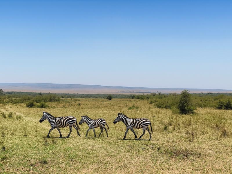 our mission at maasai mara national reserve